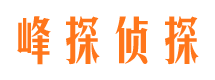 平阴侦探